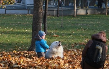 Сегодня днем, 8 ноября, в Украине тепло и без осадков