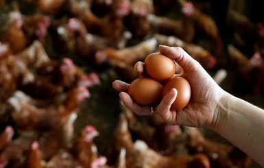 4 простых продукта для выздоровления после ОРВИ