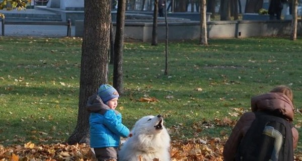 Погода в Украине: ближайшие два дня будут сухими и солнечными