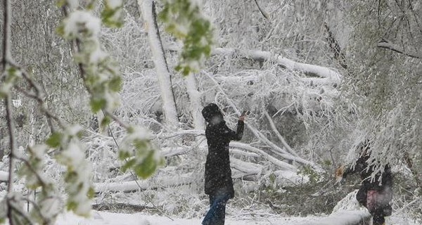 Завтра, 29 ноября, местами до 8 мороза