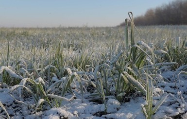 Завтра, 1 декабря, станет немного теплее