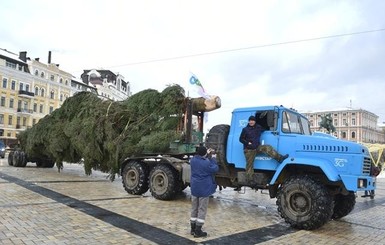 Главная елка Украины не приехала в Киев из-за снегопада