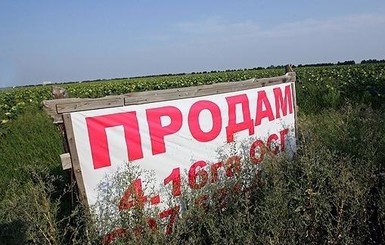 Кому на руку продление моратория на продажу земли