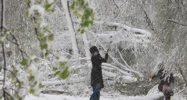 Завтра, 22 декабря, местами пройдет снег