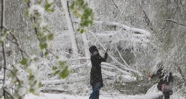 Завтра, 27 декабря, ночью местами морозы, а днем до 8-12 тепла