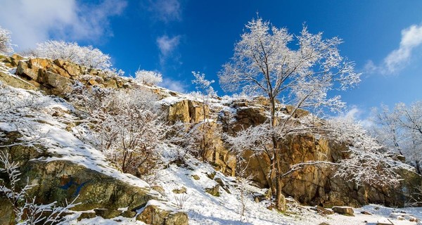 Запорожский фотограф запечатлел волшебную заснеженную Хортицу 