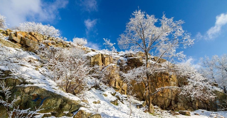 Запорожский фотограф запечатлел волшебную заснеженную Хортицу 