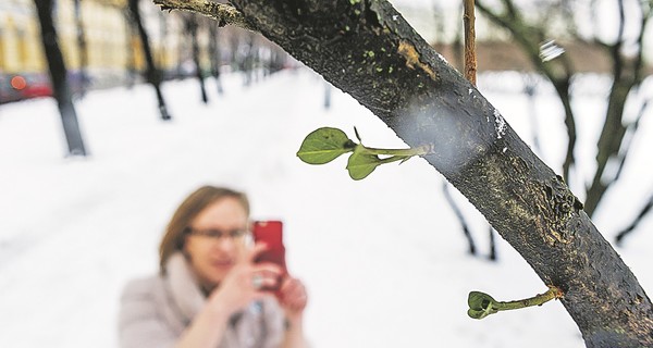 Четыре печальных рекорда погоды, которые обновило глобальное потепление