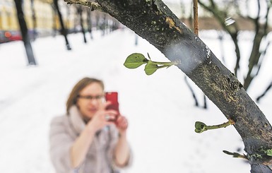 Четыре печальных рекорда погоды, которые обновило глобальное потепление