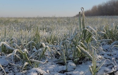  Сегодня днем,1 февраля, в Украине без осадков