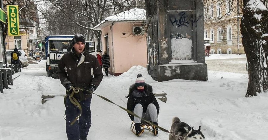 Зима продолжается: одесситы передвигаются на собачьих упряжках, а харьковчане толкают троллейбусы