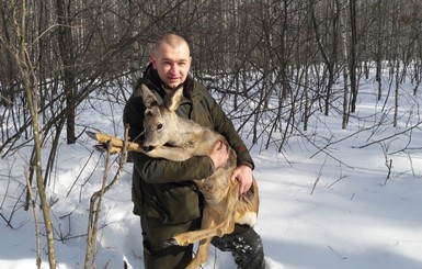 В Конотопе косулю спасали из снежной ловушки