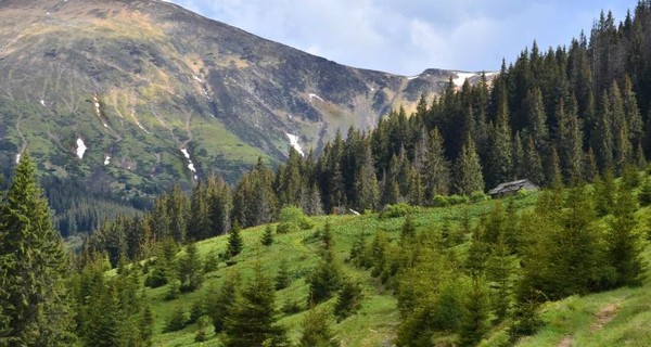 В горах на Закарпатье погиб турист