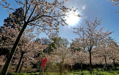  Сегодня днем, 3 апреля, в Украине потеплеет