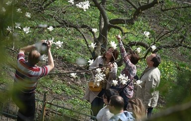 Сегодня днем, 6 апреля, дождь пройдет на западе и севере, а к вечеру и в Киеве