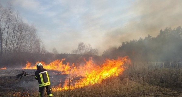 Украина в огне: из-за весенних палов погиб ребенок и обгорела женщина