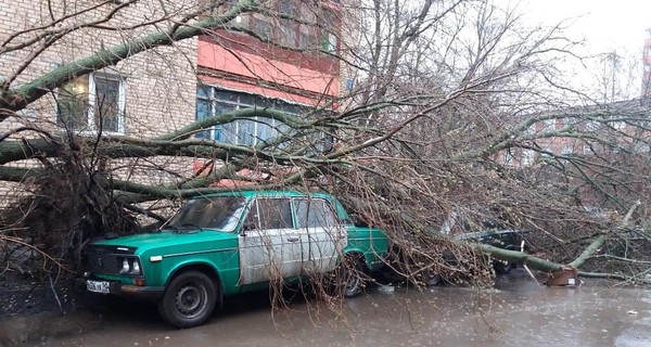 По Москве прокатился ураган, есть жертвы