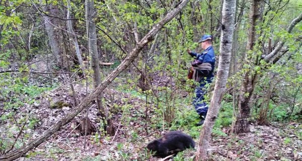 На Житомирщине бобра спасли из колодца