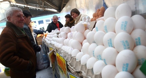 Украина экспортировала в ЕС 38% куриных яиц