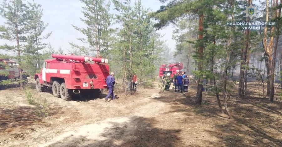 В Луганской области загорелся лес