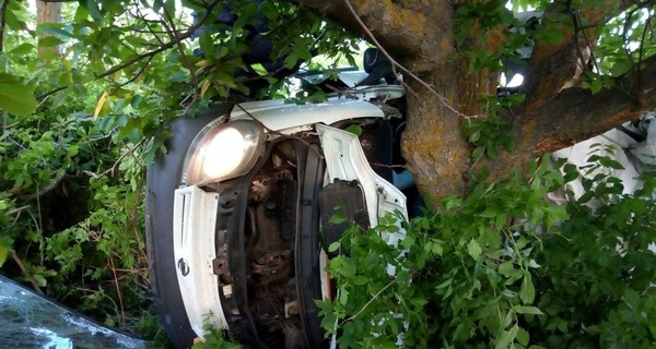 В Николаевской области пять человек погибли в ДТП с маршруткой