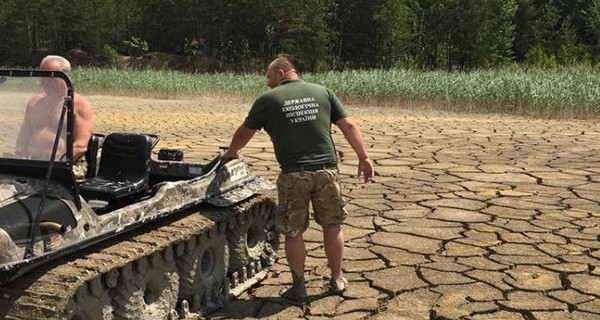 На Житомирщине спасли двух лосей, тонущих в глине