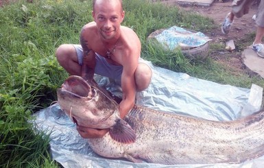 В Витебске 50-килограммового сома поймали на жареного воробья