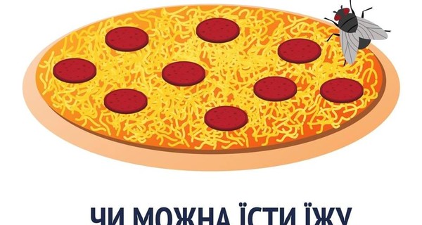 Супрун рассказала об опасности мух на продуктах