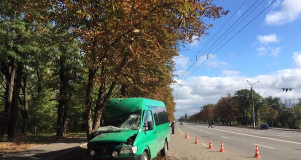 В Кривом Роге полная людей маршрутка врезалась в дерево