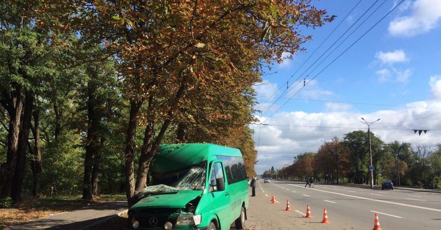 В Кривом Роге полная людей маршрутка врезалась в дерево