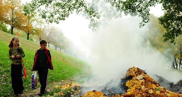 Супрун: жечь камыш и листья - вредно, неэкологично и нецивилизованно