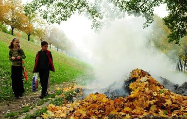 Супрун: жечь камыш и листья - вредно, неэкологично и нецивилизованно