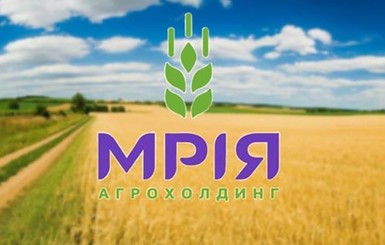 Реструктуризация агрохолдинга 