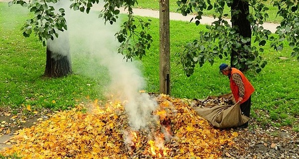 С поджигателями листьев будут бороться специнспекторы, вооруженные дронами