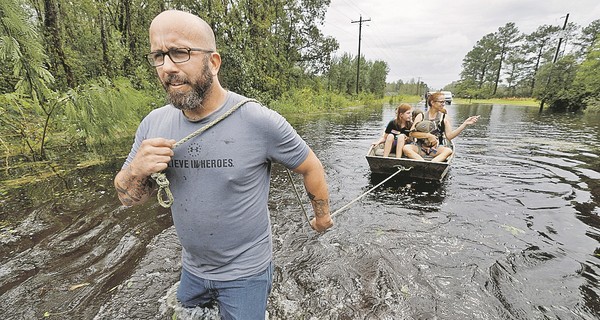 В глобальном потеплении виноваты коровы и древние люди