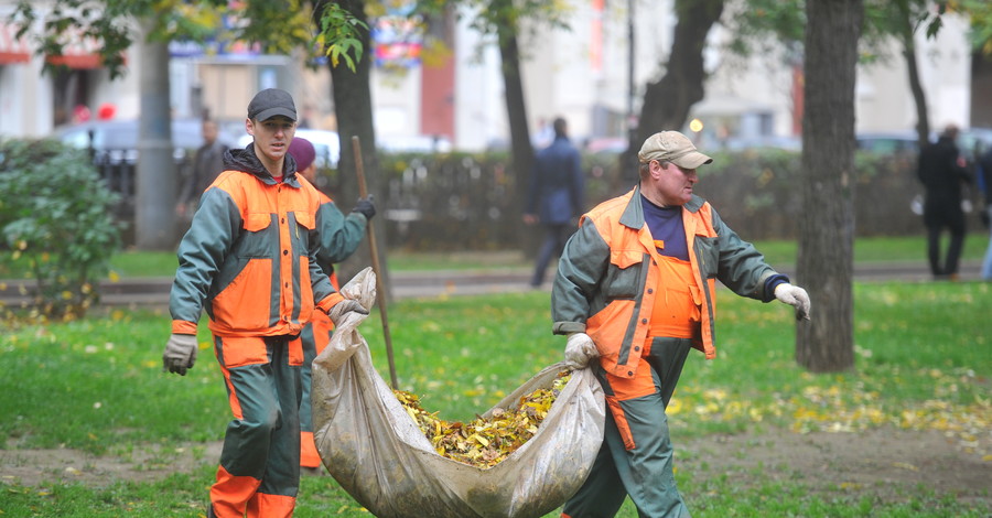 Ах, зачем же нам всем в наказанье листья жгут, листья жгут