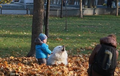 Сегодня днем, 5 ноября, в Украине до 10-16 градусов тепла