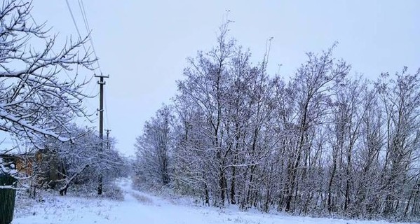 Ночью 20 ноября из-за непогоды 60 сел и городов Украины остались без света