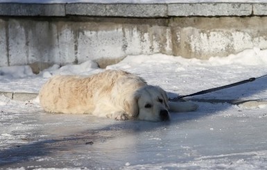 Сегодня днем, 30 ноября, до 10 градусов мороза