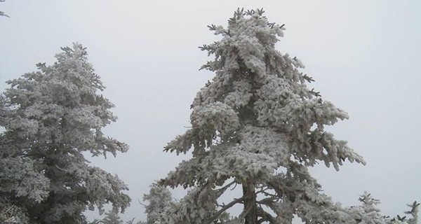 Сегодня днем, 6 декабря, на востоке пройдет небольшой мокрый снег с дождем