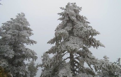 Сегодня днем, 6 декабря, на востоке пройдет небольшой мокрый снег с дождем