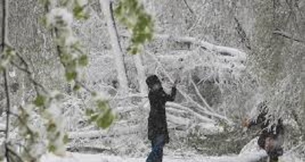 Завтра, 14 декабря, снег пройдет почти по всей стране