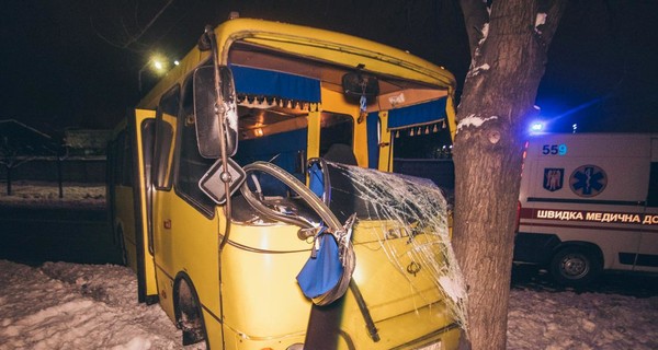 В Киеве маршрутка врезалась в дерево