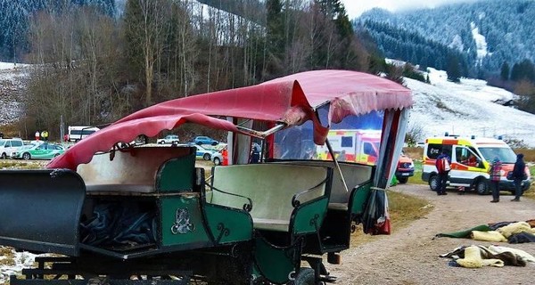 В Германии столкнулись две конные повозки, пострадали 20 человек