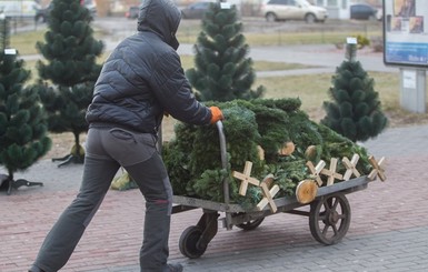 Как культурно сдать ненужную елку