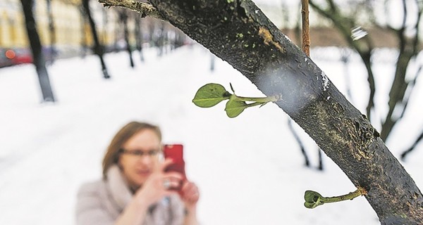 В воскресенье, 17 февраля, в Украине станет еще теплее