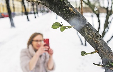 В воскресенье, 17 февраля, в Украине станет еще теплее