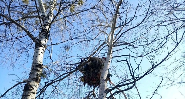 Киевлянин, поселившийся на дереве, может быть подсадной уткой