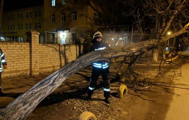 Ураган в Украине: без света - полтысячи населенных пунктов, 3 людей погибли