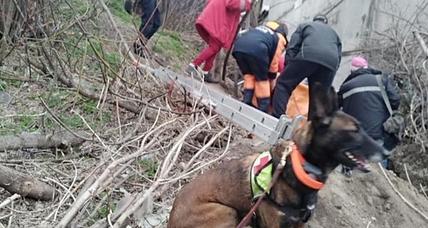 В Днепре собака нашла женщину, просидевшую в яме 3 суток  